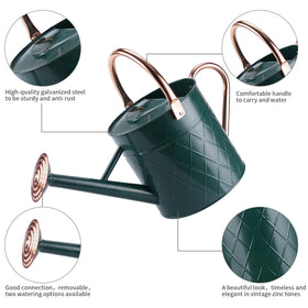 BLstyle removable-spray-spout-watering-can enables gentler watering for delicate plants.