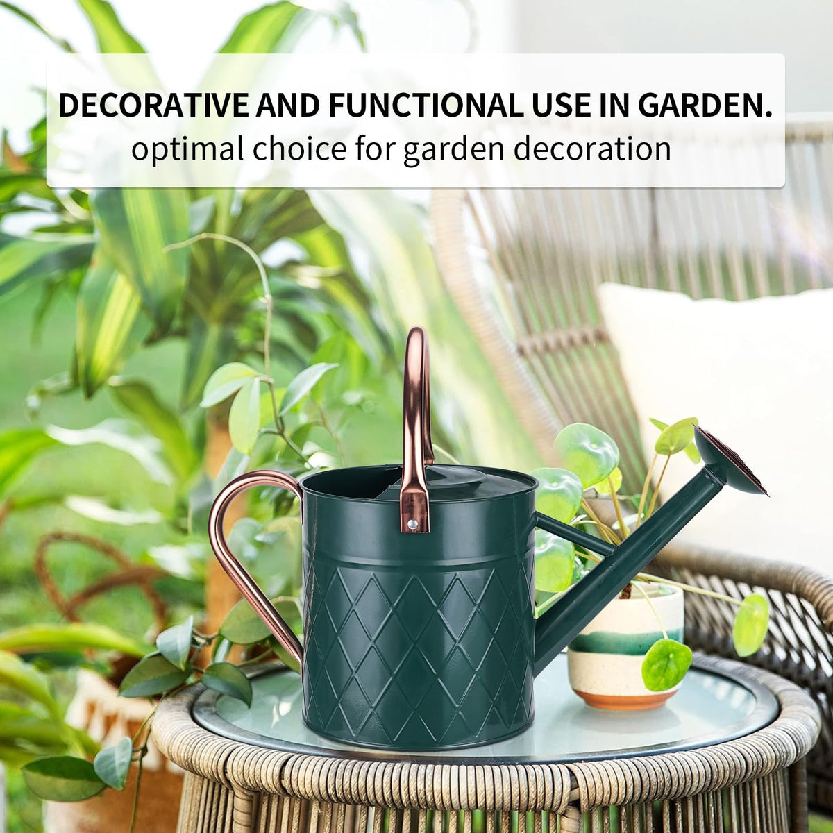 BLstyle-round-metal-handle-watering-can offers easy carrying and precise pours.