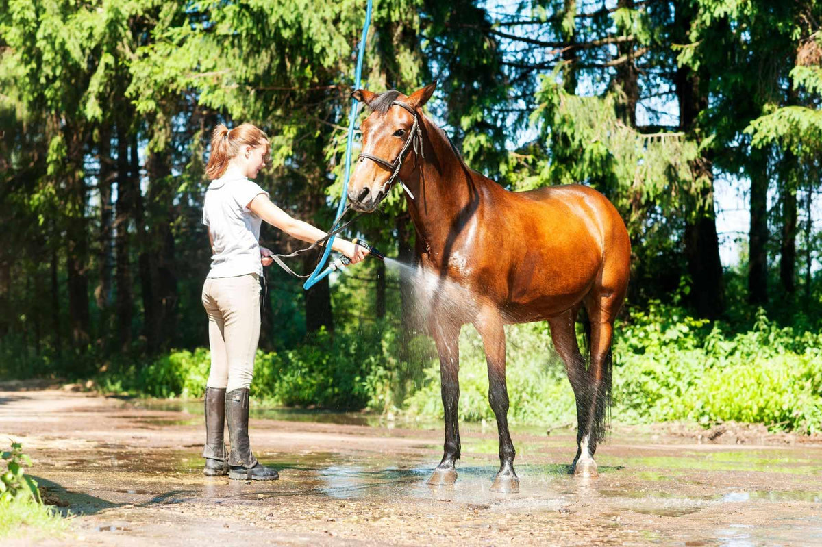 BLUBIRD AG-LITE BSAL3410 100% rubber construction for durability.