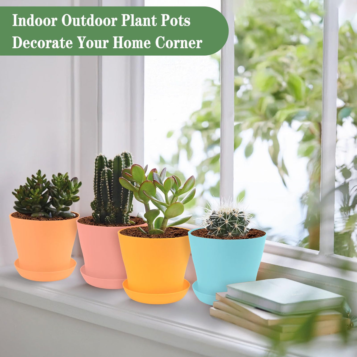 Bluckincle pots with drainage holes and saucers to reduce waterlogging and simplify care.