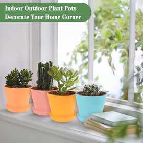 Bluckincle pots with drainage holes and saucers to reduce waterlogging and simplify care.