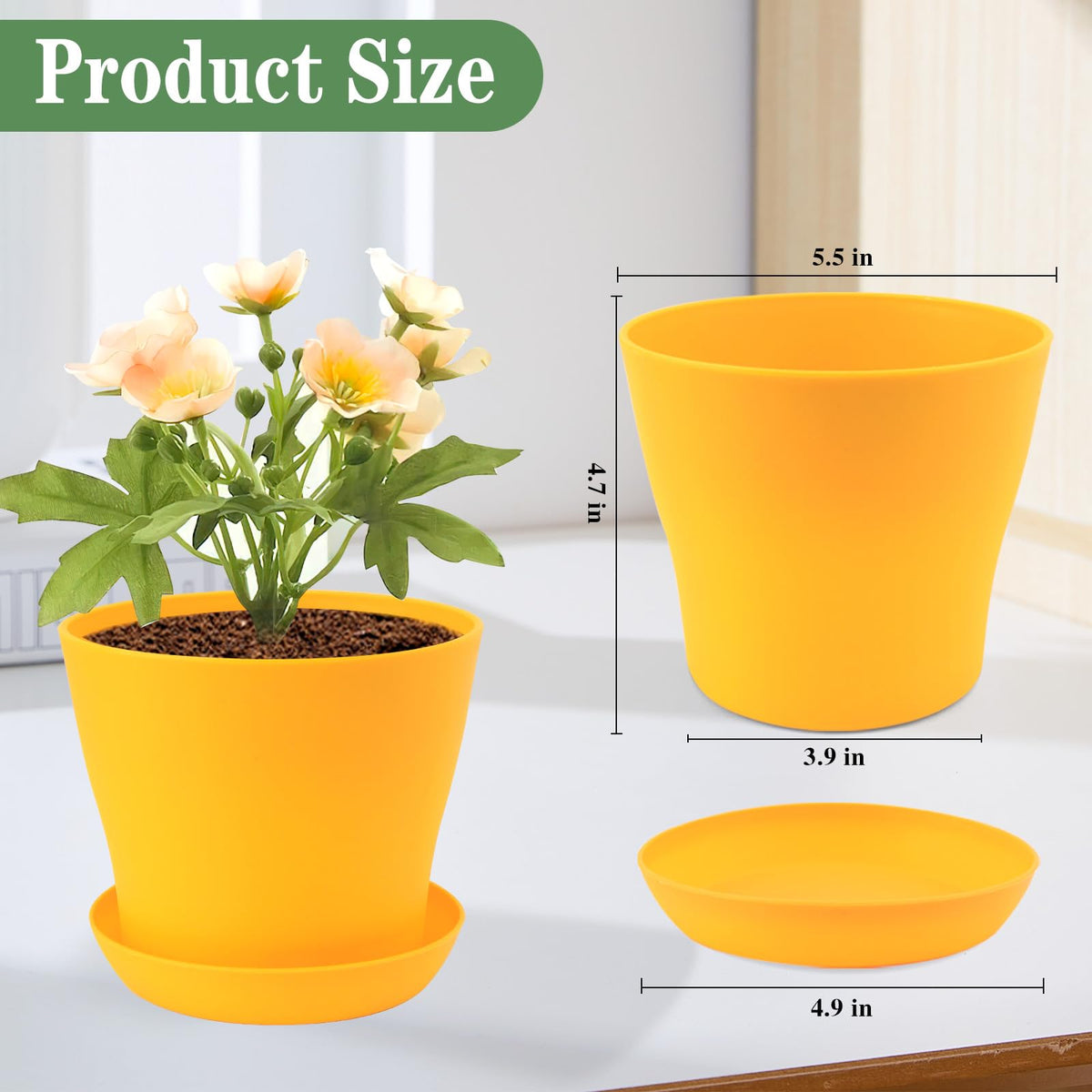 Bluckincle eight bright colors planters offer versatile styling and gift-ready presentation.