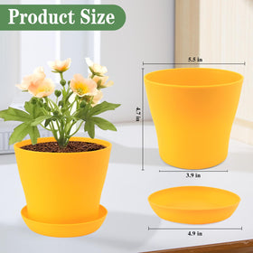 Bluckincle eight bright colors planters offer versatile styling and gift-ready presentation.