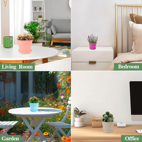 Bluckincle gift-ready planters perfect for Easter or Mother's Day.