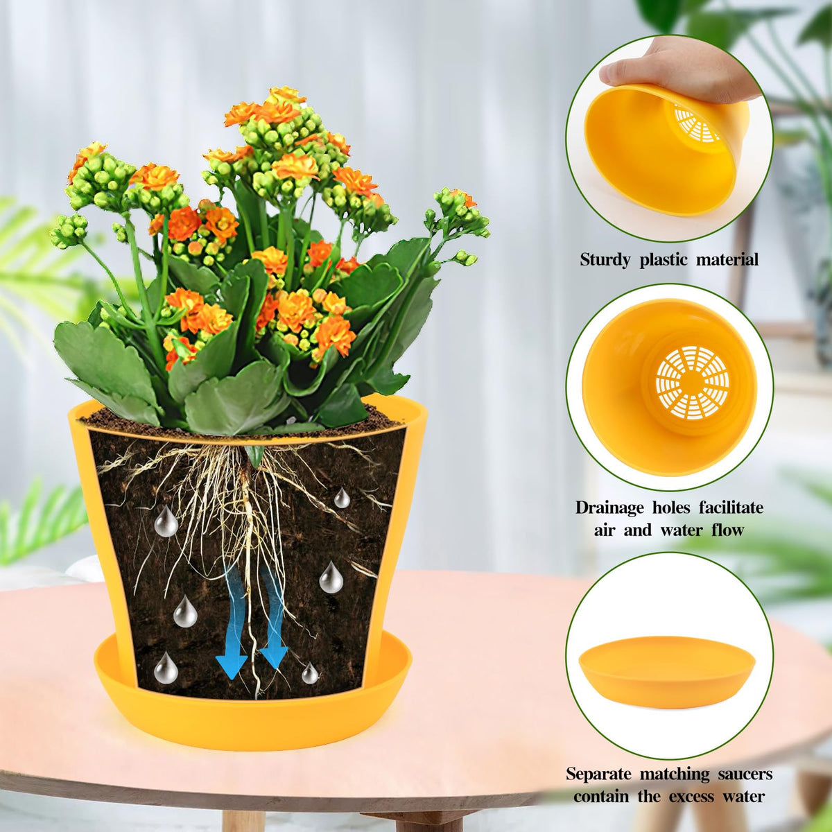 Bluckincle succulent and herb pots fit compact spaces and small plants.