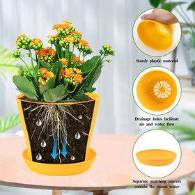 Bluckincle succulent and herb pots fit compact spaces and small plants.