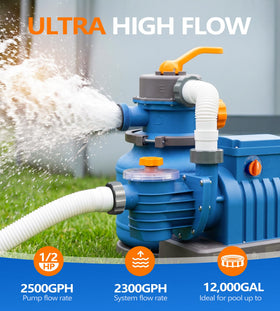 BluClear 2500 GPH pump with 24h timer enables automated pool maintenance.