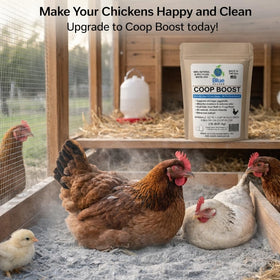 Blue Reason Coop Boost proudly made in the USA for safe use.