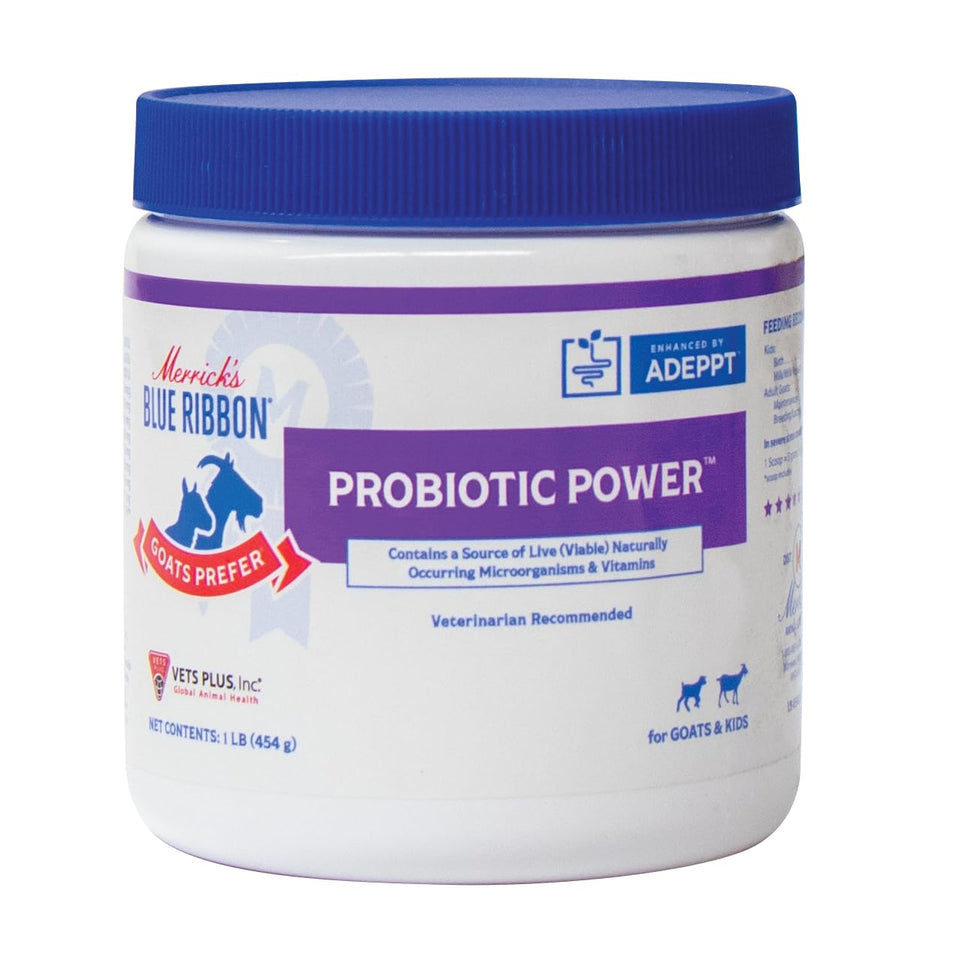 Blue Ribbon Goat Probiotic powder bottle supports digestive balance in goats.