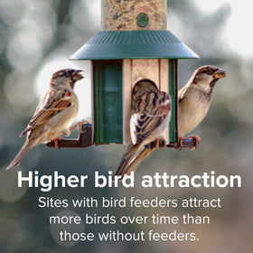 No fillers and corn-free formula supports clean, efficient feeding