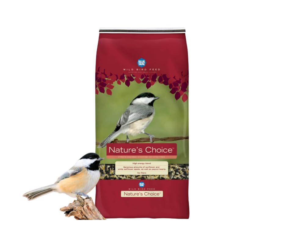 Blue Seal Nature's Choice wild bird seed high-energy blend for feeder attracts diverse backyard birds