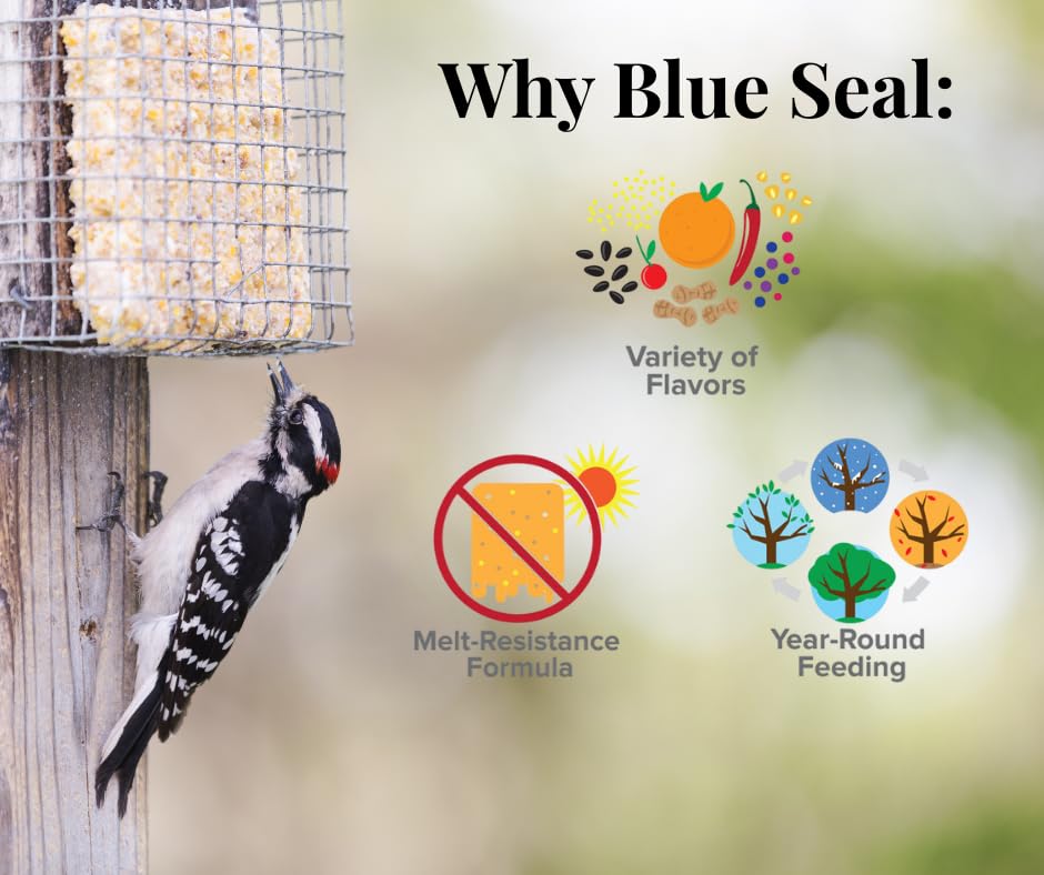 Blue Seal orange suet cakes are made in the USA for backyard feeders.