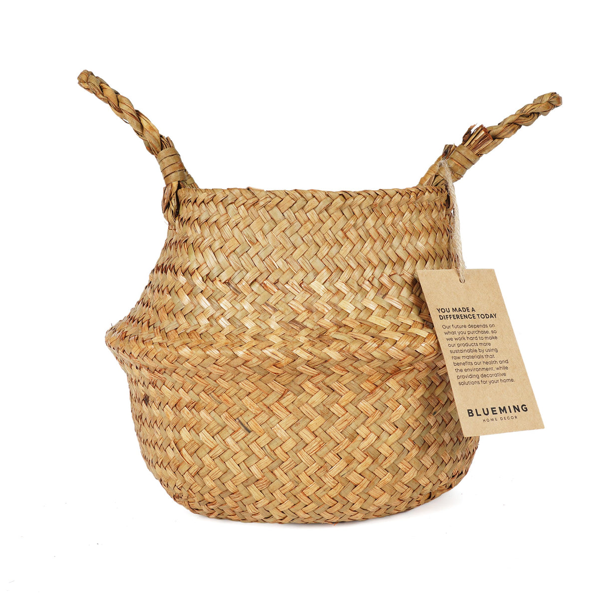 Blueming Basket Planter with handles for indoor plant display