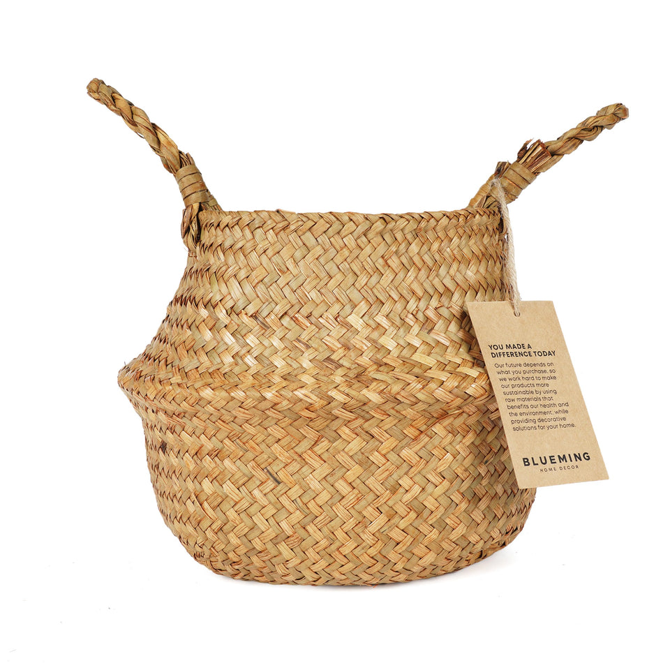 Blueming Basket Planter with handles for indoor plant display
