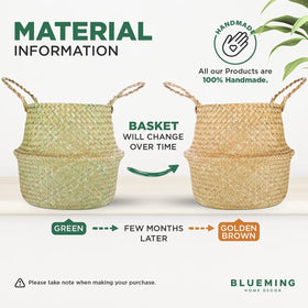 Blueming Basket Planter versatile for indoor or outdoor use