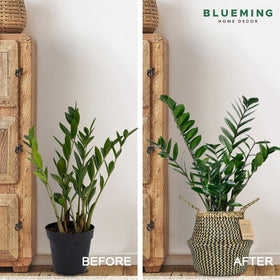 Blueming Home foldable basket doubles as storage between uses