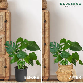 Blueming Small Basket Planter 6-7 inch size suitable for pots
