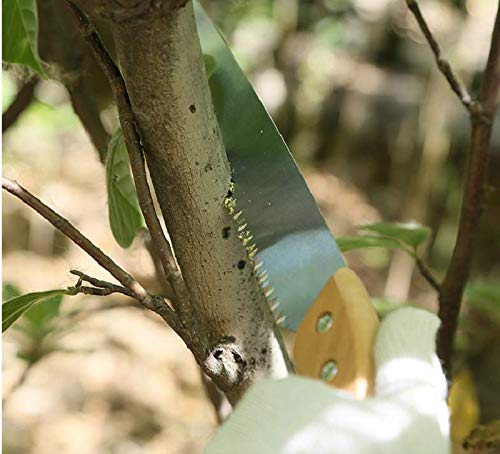 BlueNatHxRPR ergonomic handle for comfortable pruning sessions