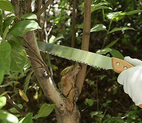 BlueNatHxRPR straight blade delivering clean cuts on thick branches