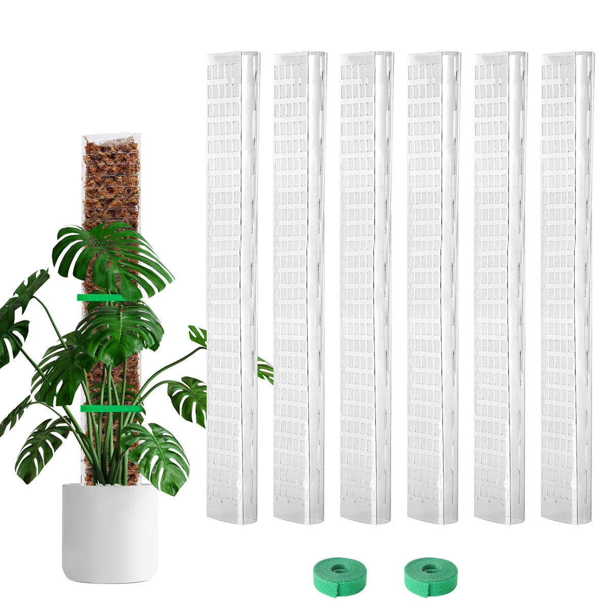 Bluepro 24-inch moss pole with flat surface supports aerial roots for better attachment