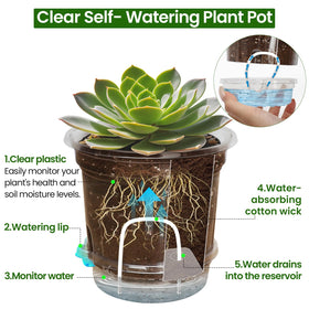 Bluepro clear plastic pot enables root observation and moisture checks