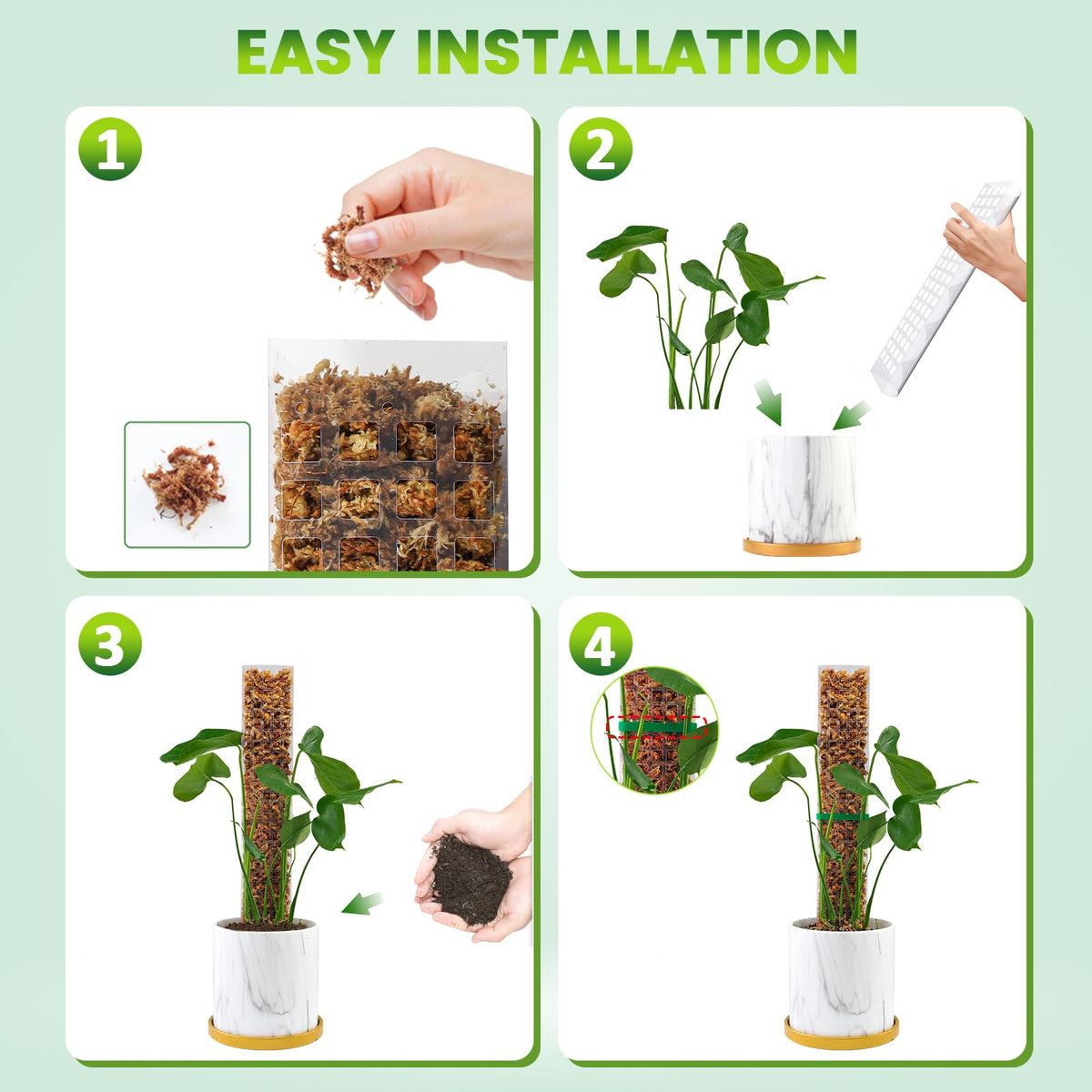 Bluepro climbing-plant support gives structures for Monstera and friends.