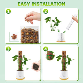Bluepro climbing-plant support gives structures for Monstera and friends.