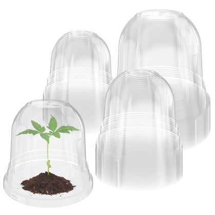 Bluepro humidity dome set for 3.5–5 inch pots provides flexible seedling coverage.