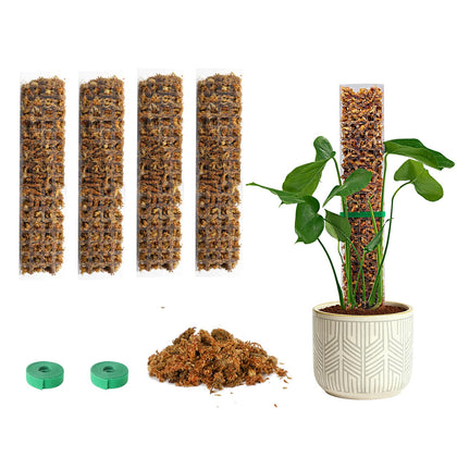 Bluepro 15-inch moss pole in D-shape supporting vertical plant growth.