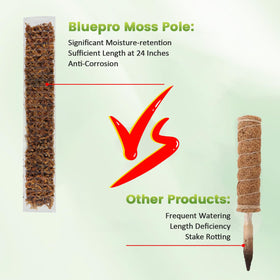 Bluepro plant ties securing stems to moss pole for stable growth