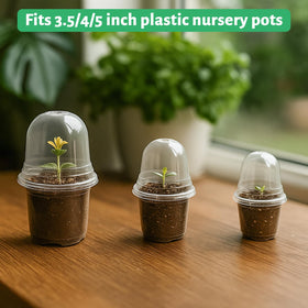 Bluepro propagation dome supports ongoing seedling care.