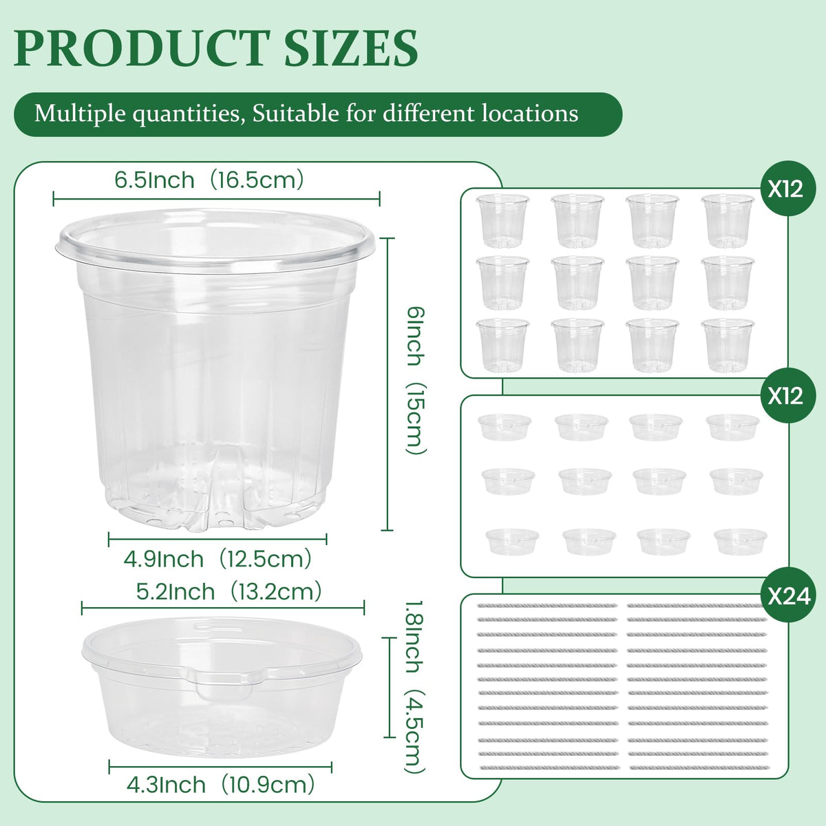 Bluepro 6.5-inch self-watering pot showing root space and moisture