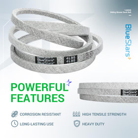BlueStars 144959 belt with lifetime protection against defects