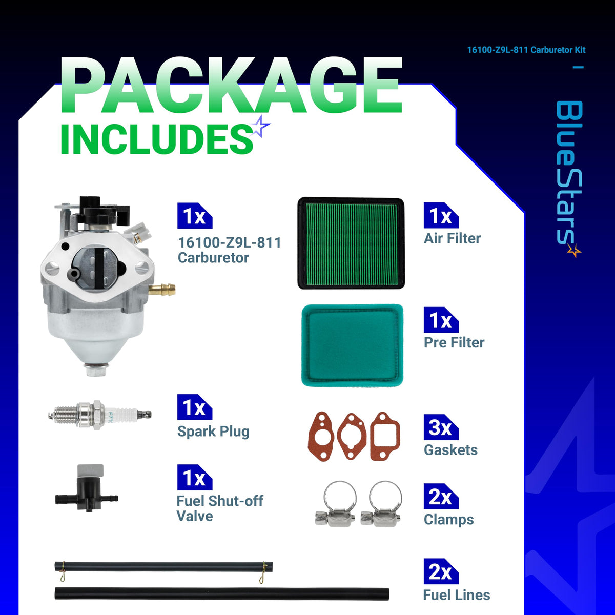 BlueStars carburetor kit contents laid out for easy installation