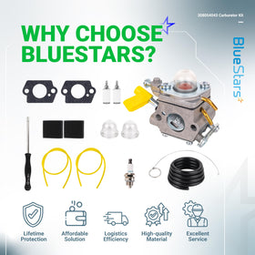 BlueStars installation guide shows quick, confident carburetor replacement