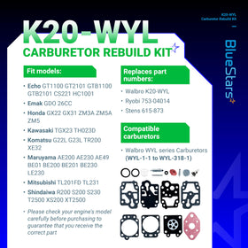 Check valve included improves seal integrity in BlueStars rebuild kit