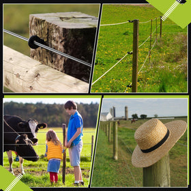 Blulu wire connected to insulators in a flexible fencing system.
