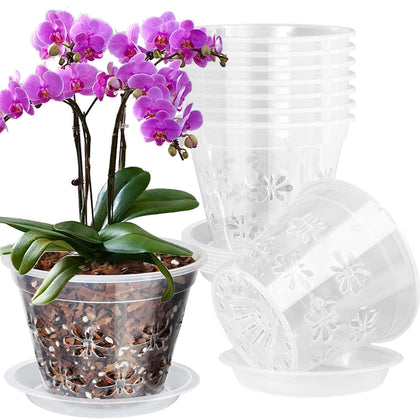 Blumiger orchid pot 8-inch top view shows clear walls for root monitoring and display.