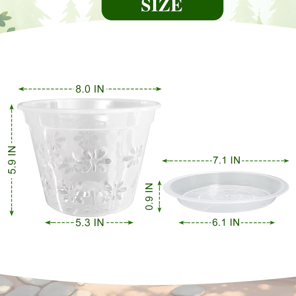 Blumiger orchid pot 8-inch ventilation holes close-up highlights airflow for healthy roots.
