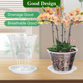 Blumiger orchid pot 8-inch with saucer shows tidy water collection for easy care.