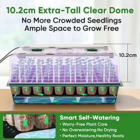 BlumWay 120 cell slots maximizing seed capacity for batch germination