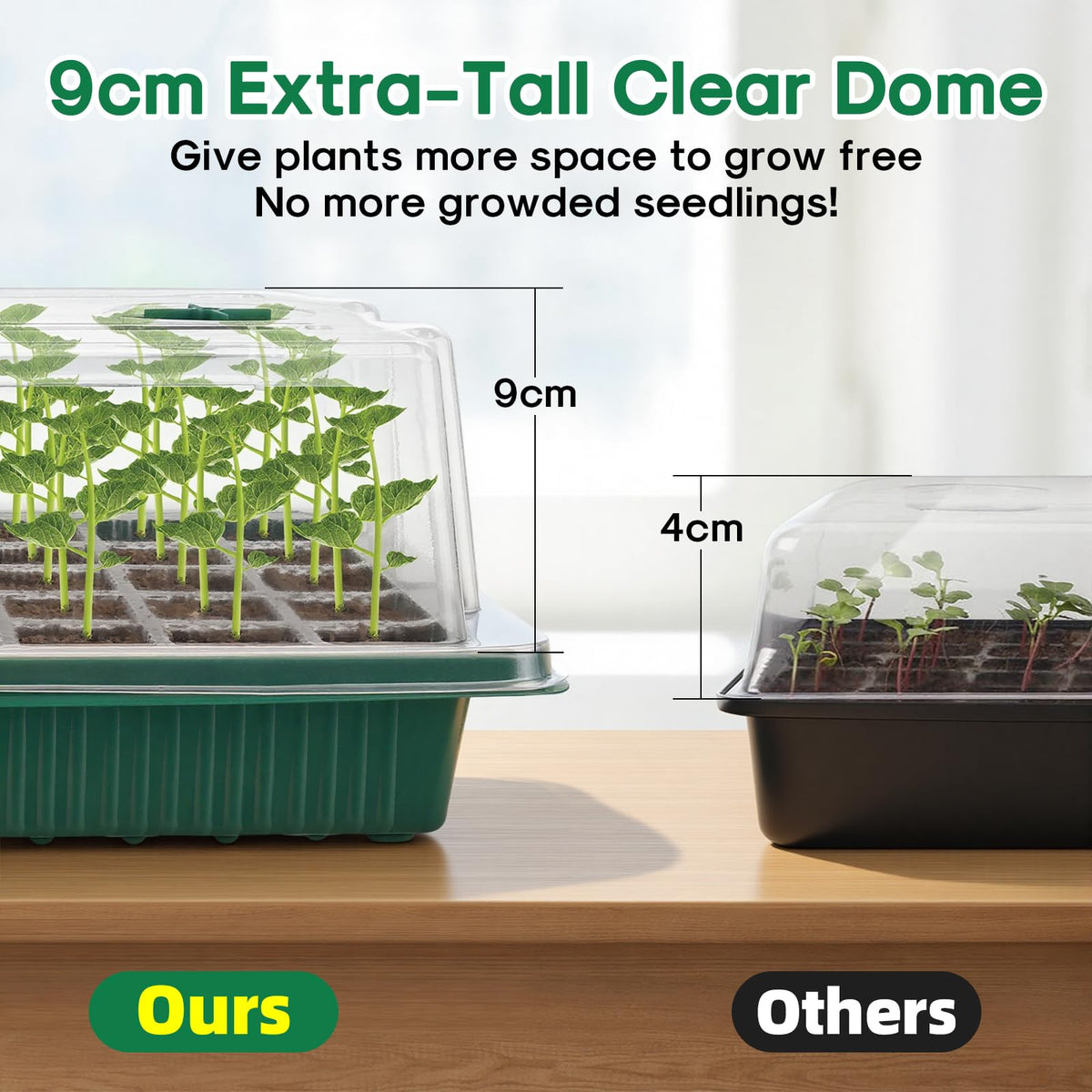 BlumWay clear seed starter tray allows easy soil observation