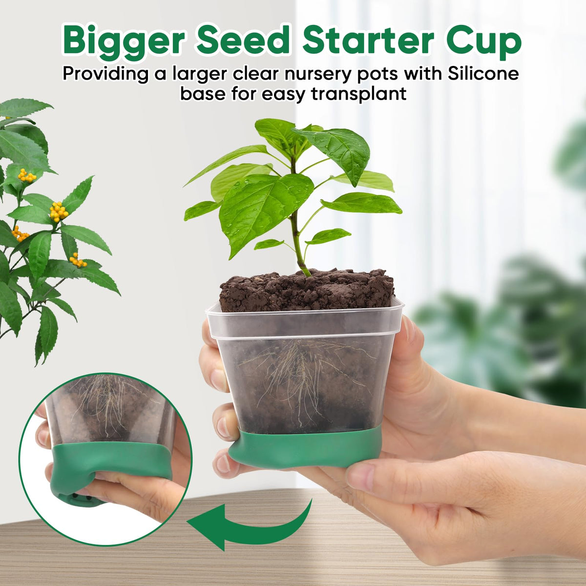 BlumWay clear nursery pots with silicone base enable easy soil release during transplanting.