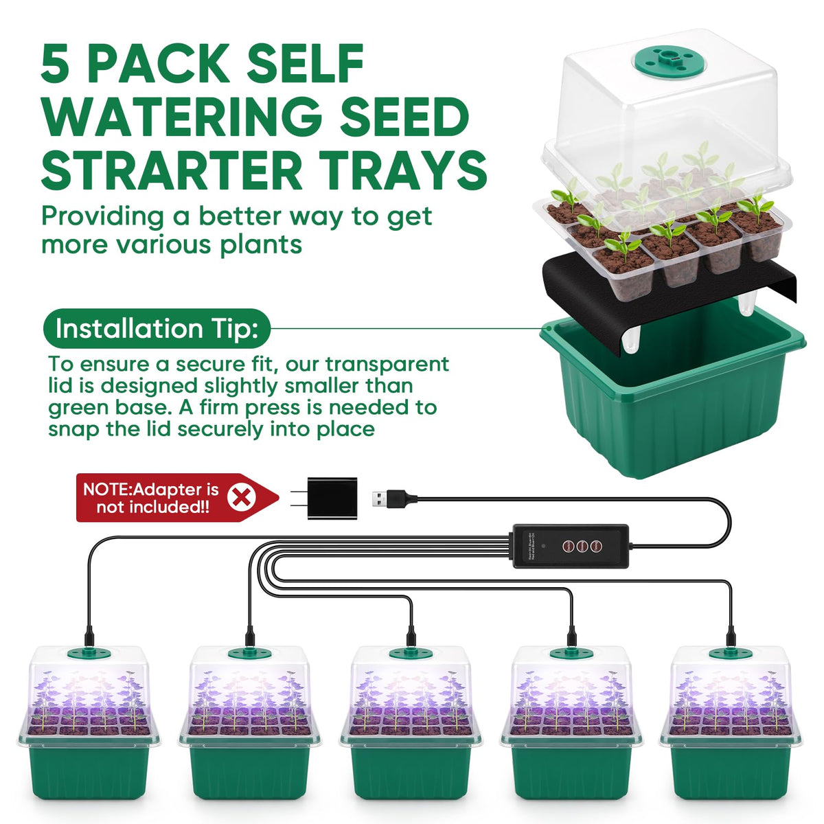 BlumWay clear seed-starting trays show moisture and progress.