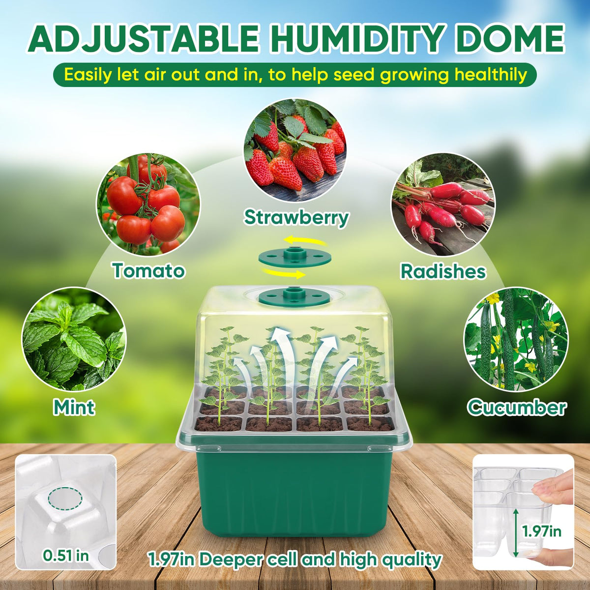 BlumWay compact system fits small indoor spaces for seedling growth.