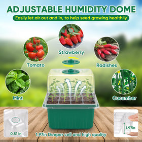 BlumWay compact system fits small indoor spaces for seedling growth.