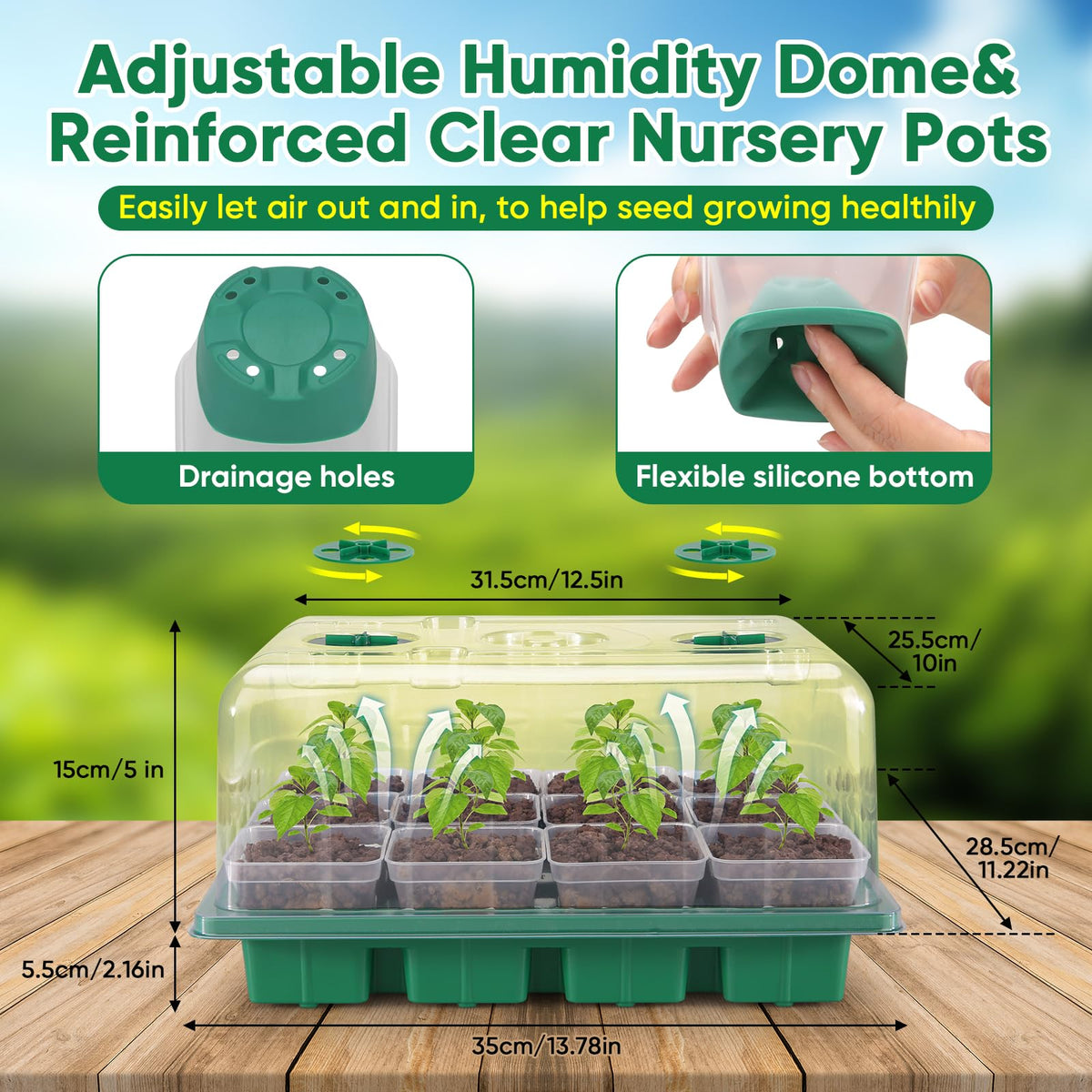 BlumWay deep-rooted seedlings thrive indoors with this all-in-one starter set.