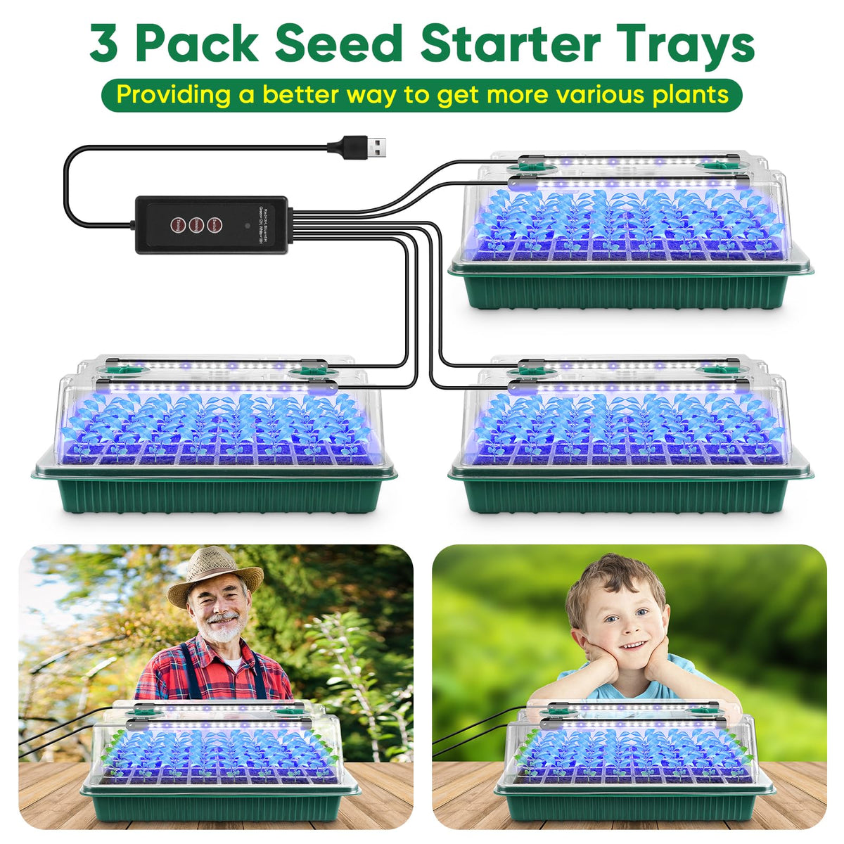 BlumWay indoor grow kit arranged on a windowsill for home gardening