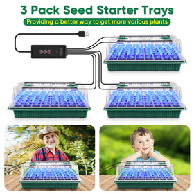 BlumWay indoor grow kit arranged on a windowsill for home gardening
