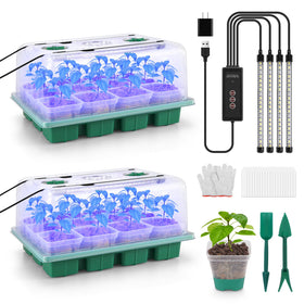 BlumWay seed starter tray with 360-degree spectrum grow light over the dome for even seedling growth.